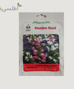 بذر گل استکانی