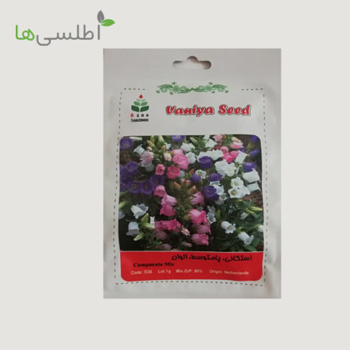 بذر گل استکانی