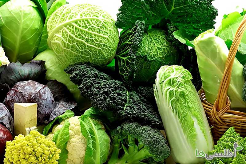 کلم چیست؟