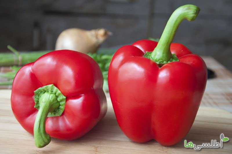 فلفل دلمه ای در طب سنتی