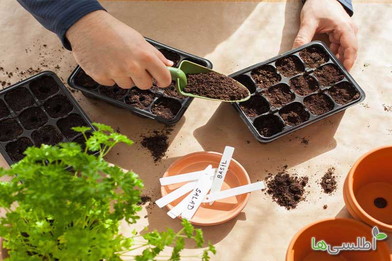 برای کاشت بذر از چه خاکی استفاده کنیم؟
