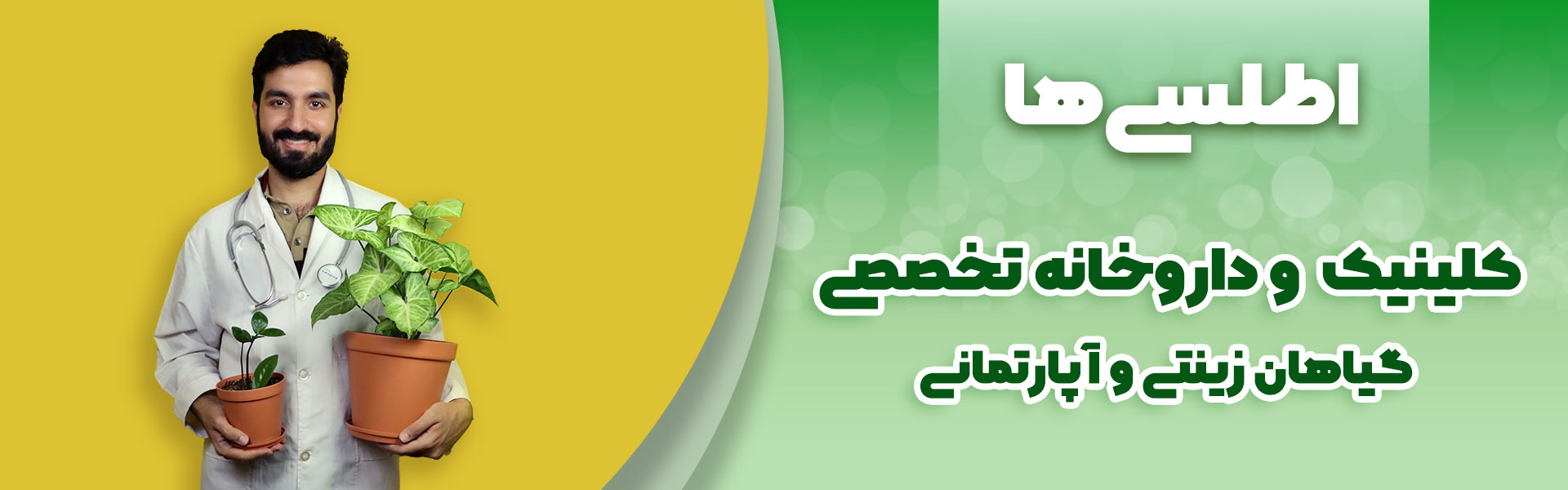کلینیک گل و گیاه اطلسی ها